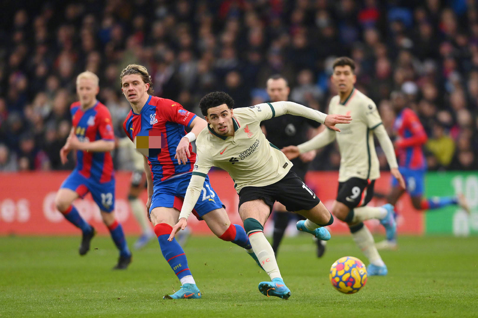 提供了坚实 提供了坚实