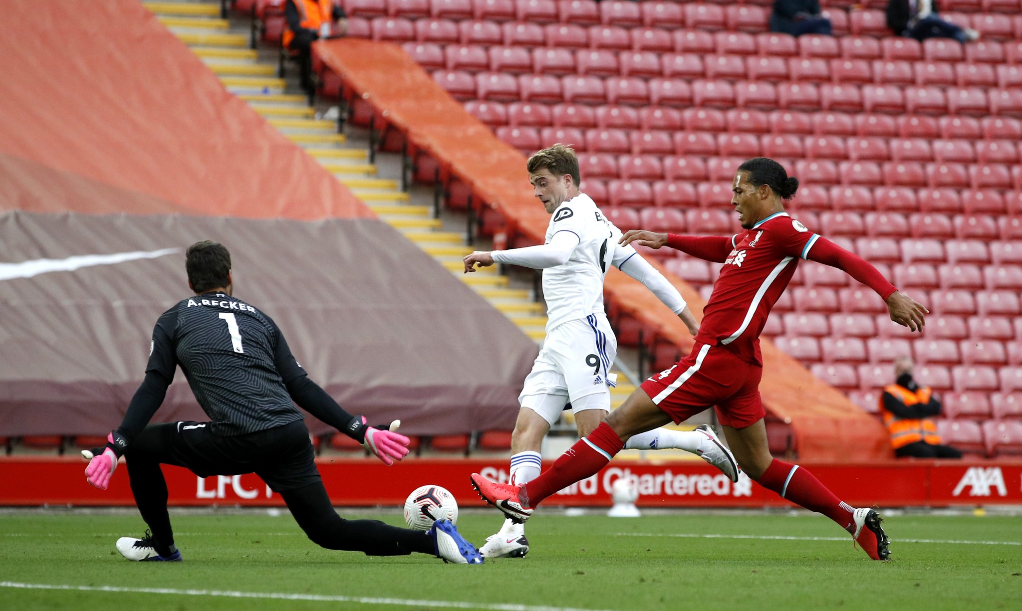 仅可以帮助 仅可以帮助