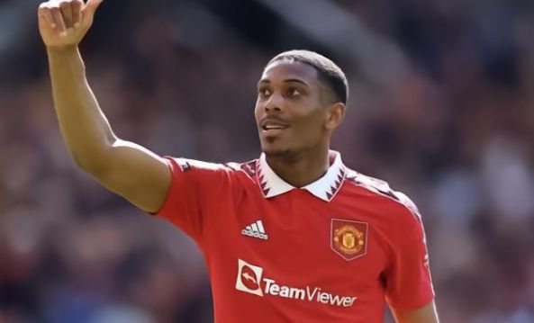 事件对日本 事件对日本